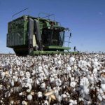 El potencial argentino: el desafío del desarrollo de las provincias