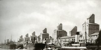 El modelo agroexportador argentino.Buques cerealeros en el puerto de Buenos Aires a fines del siglo XIX.