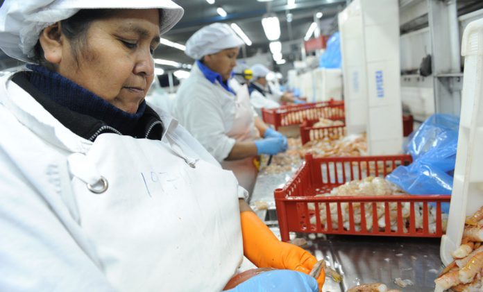 Mujer trabajando mujer