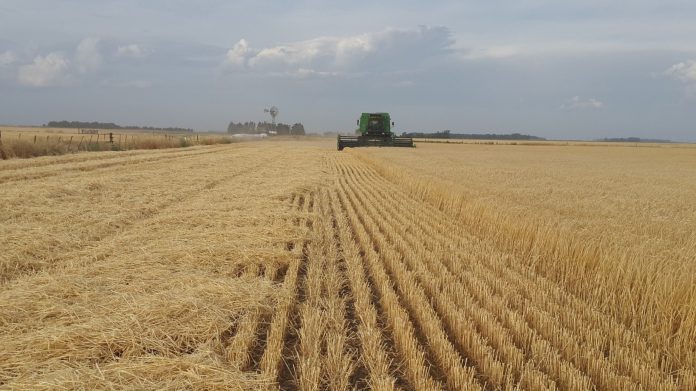 Campo argentino bioeconomía