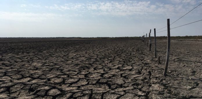 Una laguna seca por la falta de lluvias, al norte de la ciudad de Santa Fe.